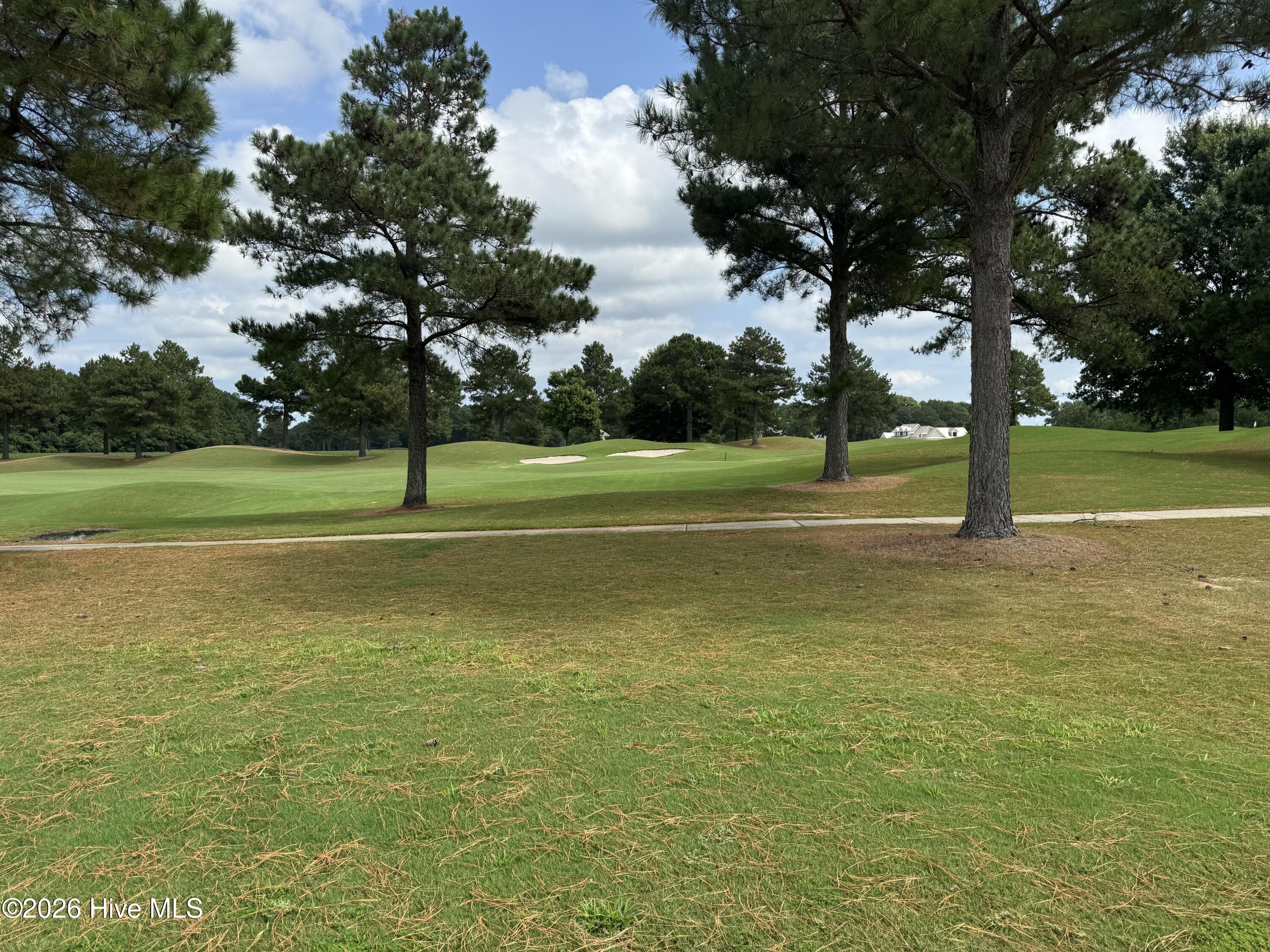 9 Chickadee Loop Snow Hill, NC 28580 - Photo 15 of 22 View of golf course from Lot #9