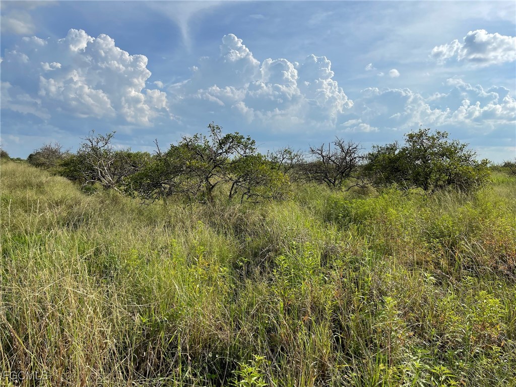 6925 6th Road LaBelle, FL 33935 - Photo 2 of 4