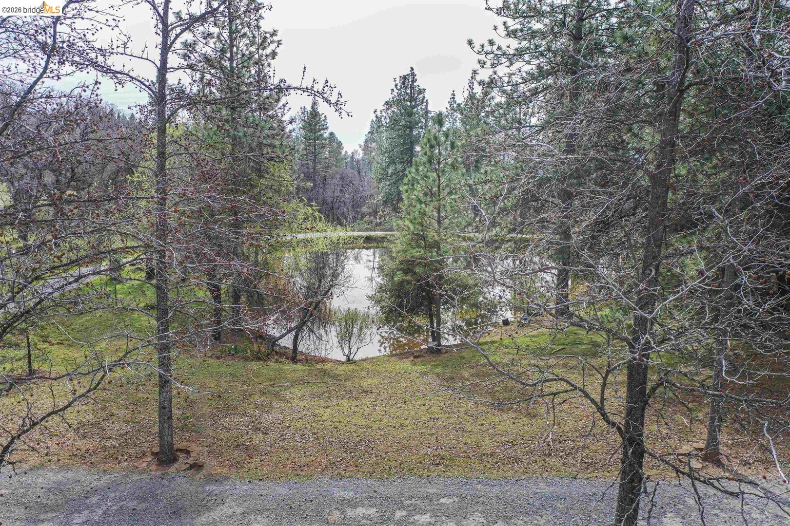 1750 Sliger Mine Road Greenwood, CA 95635 - Photo 11 of 59