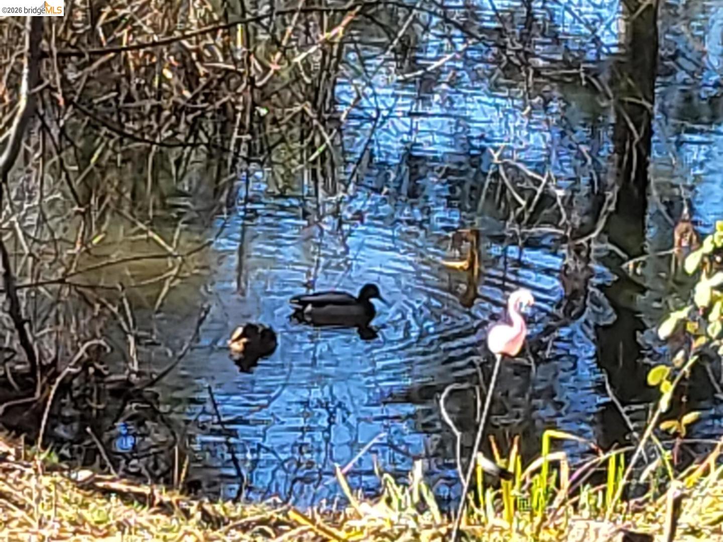 1750 Sliger Mine Road Greenwood, CA 95635 - Photo 12 of 59