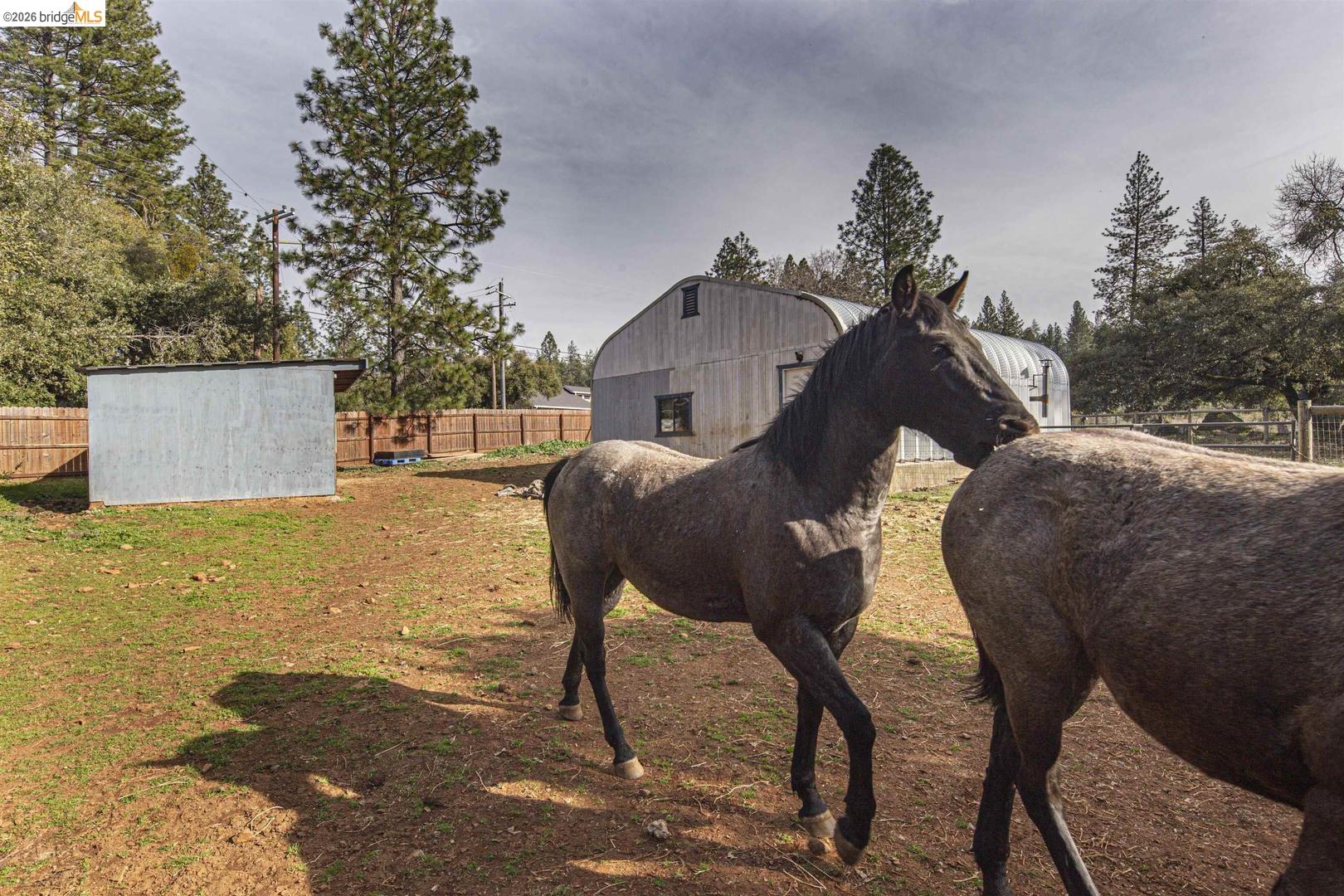 1750 Sliger Mine Road Greenwood, CA 95635 - Photo 54 of 59