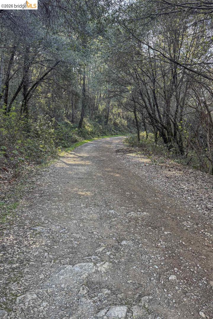 1750 Sliger Mine Road Greenwood, CA 95635 - Photo 57 of 59