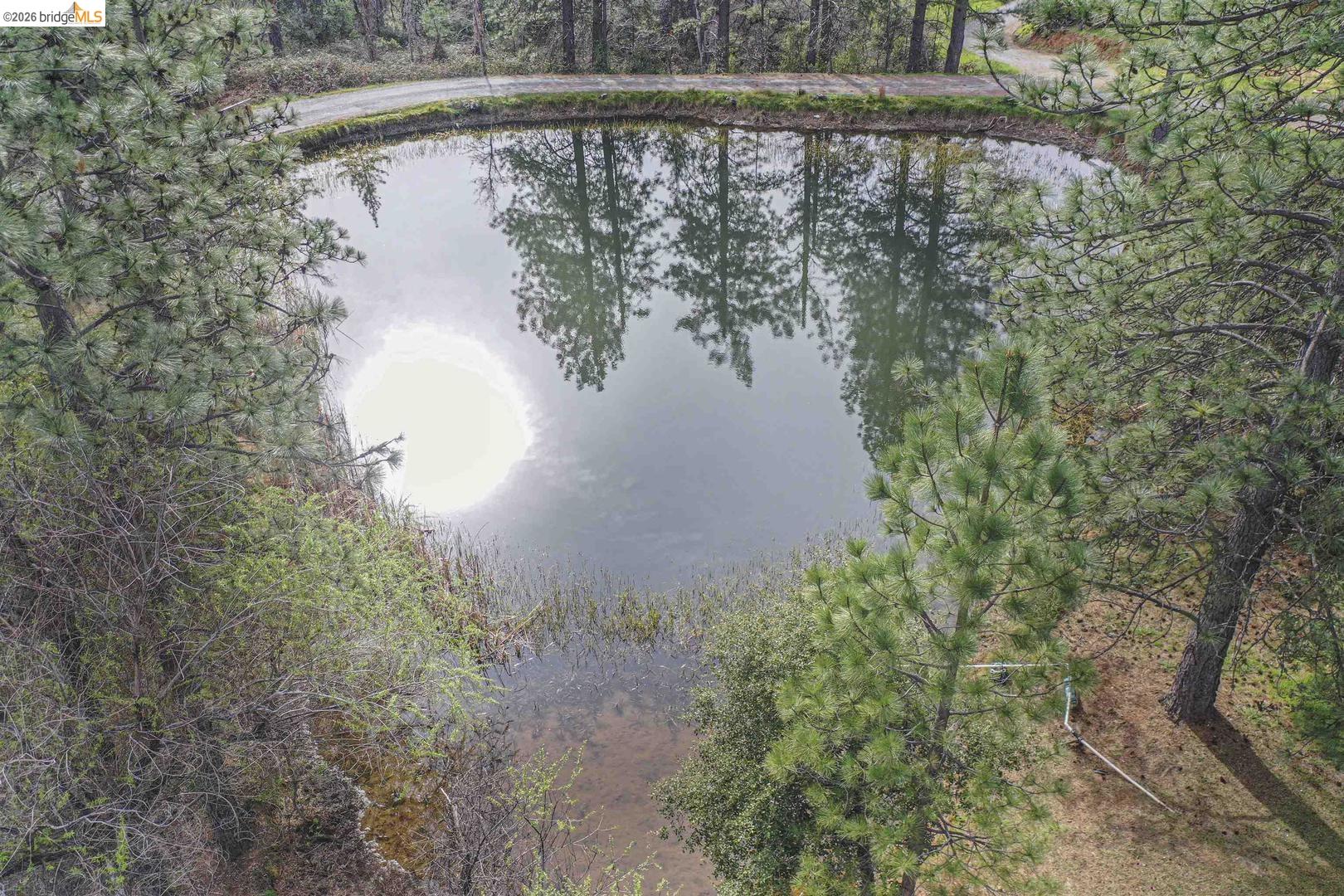 1750 Sliger Mine Road Greenwood, CA 95635 - Photo 10 of 59