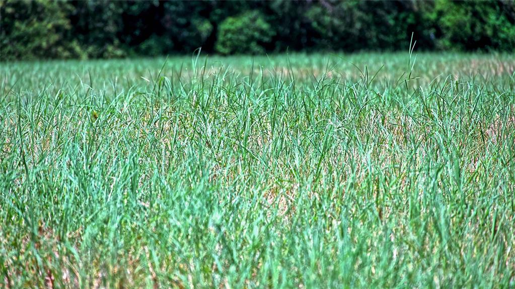 2 Smyrna Road Sunset, TX 76270 - Photo 13 of 29