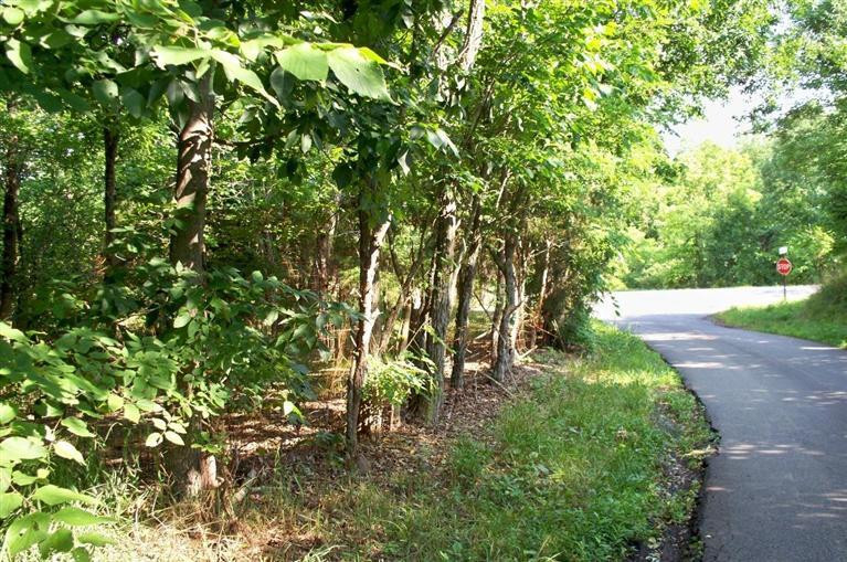 0 Taft Highway Dry Ridge, KY 40359 - Photo 1 of 20