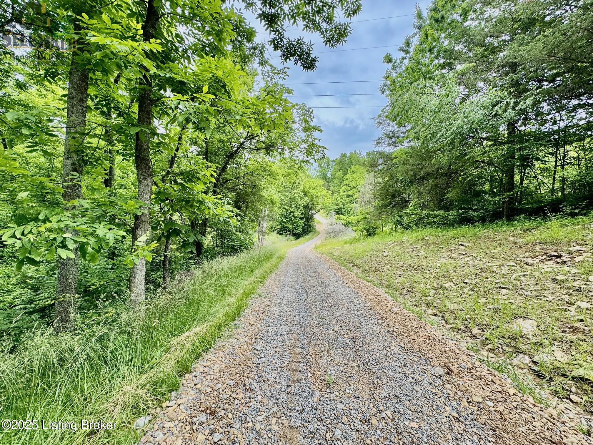 2 Polin Road Willisburg, KY 40078 - Photo 16 of 17 IMG_2865 (1)
