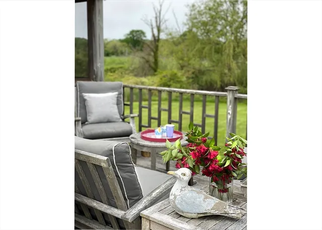 a room with furniture and a potted plant