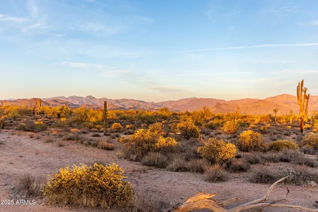 a view of a city with mountains in the background