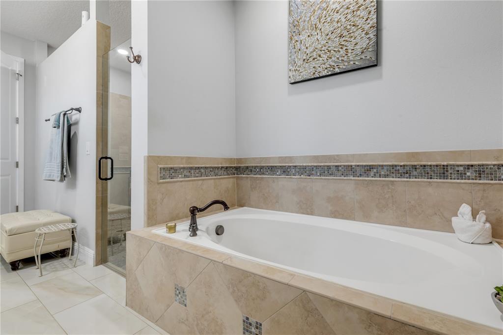 3029 Isola Bella Boulevard Mount Dora, FL 32757 - Photo 41 of 88 Gallery Image 41