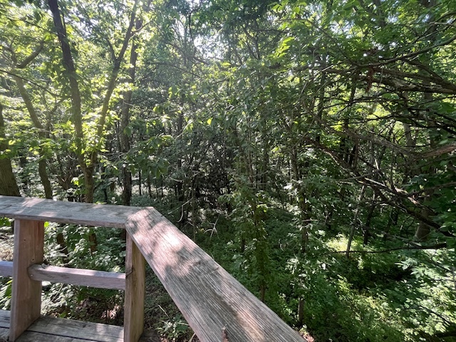 2795 East 28th Road Marseilles, IL 61341 - Photo 19 of 58 a view of a wooden deck and a forest