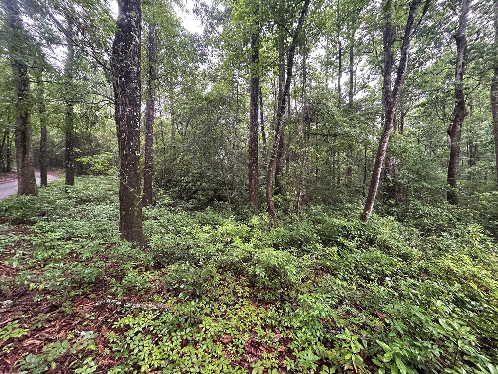 0 Holmes Road Newton, AL 36352 - Photo 3 of 8