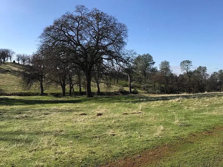 0 Lanford Pacheco Road Valley Springs, CA 95252 - Photo 2 of 26