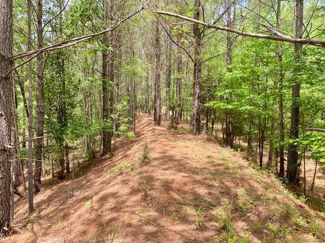 0 Pete Johnson Road Tignall, GA 30668 - Photo 32 of 43 Dam for Pond or
Duck Impound area