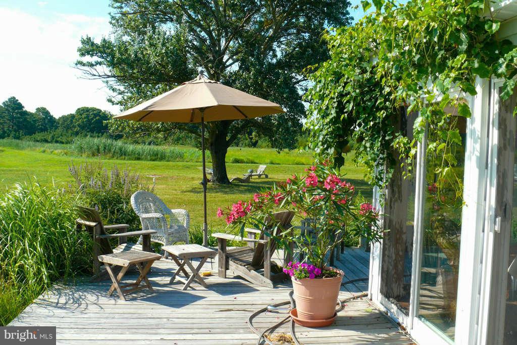 5439 Cassons Neck Road Cambridge, MD 21613 - Photo 7 of 30 Waterside Deck "in leaf"