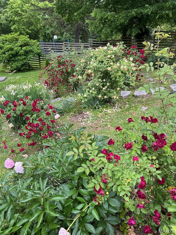 1009 Danforth Street Alton, IL 62002 - Photo 49 of 55