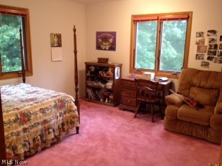 881 Ravenna Road Kent, OH 44240 - Photo 20 of 22 Large Bedroom