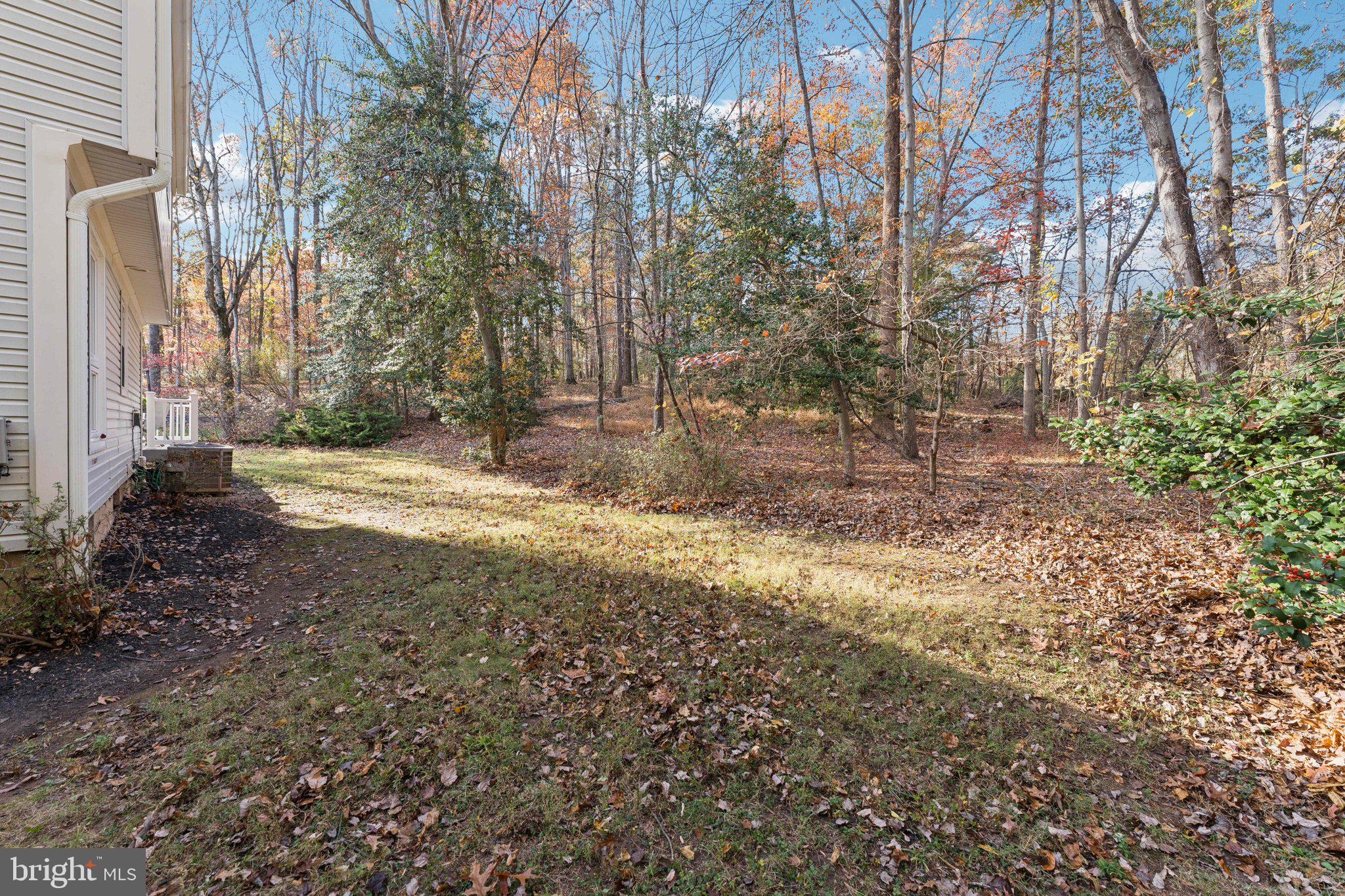 11234 Hunting Horn Lane Reston, VA 20191 - Photo 39 of 44 a view of a yard with trees