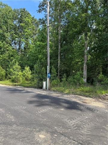1 C Lower Rome Road Springfield, LA 70462 - Photo 11 of 18