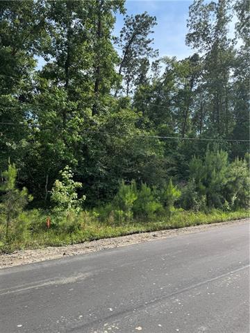 1 C Lower Rome Road Springfield, LA 70462 - Photo 12 of 18