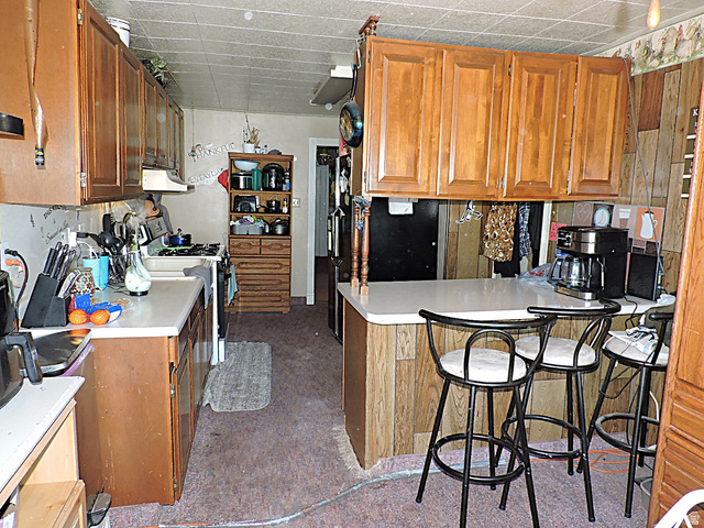 355 South Center Street Delta, UT 84624 - Photo 10 of 21 Kitchen featuring wood-finish cabinetry, solid surface countertops, and a peninsula with bar seating