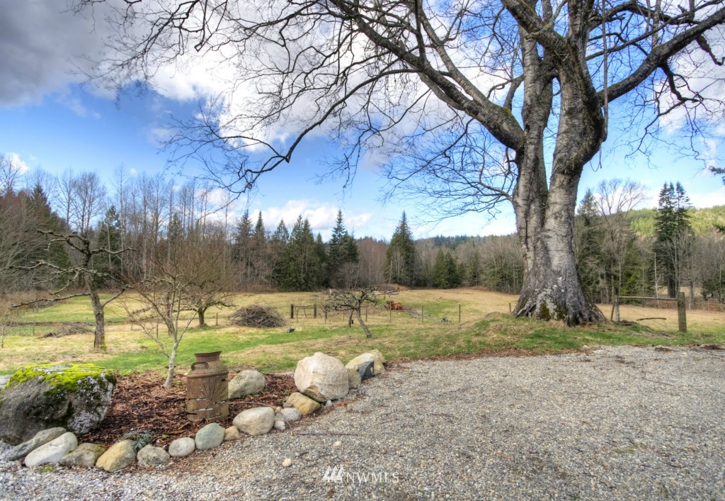 8911 Frost Road Sumas, WA 98295 - Photo 3 of 24