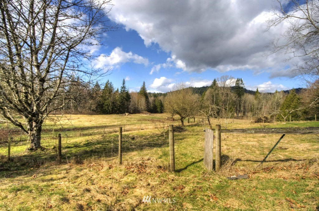 8911 Frost Road Sumas, WA 98295 - Photo 4 of 24