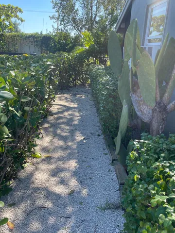 a view of a yard with plants and large trees