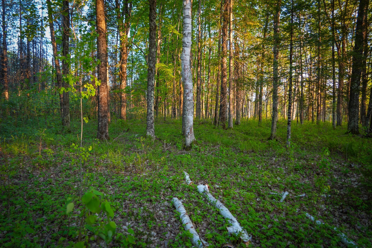 V/l V/l 33rd Road Gladstone, MI 49837 - Photo 54 of 70