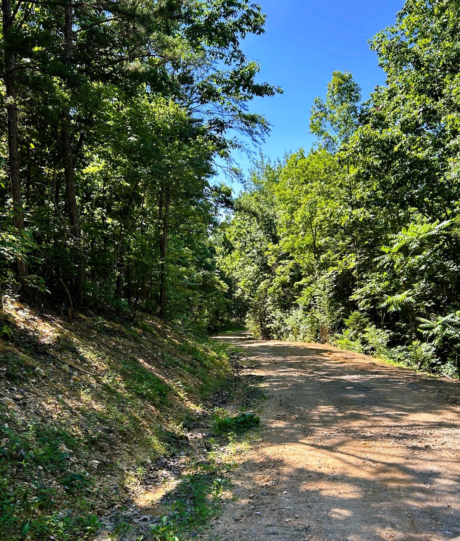 15-c-1a Charles Road Decatur, TN 37322 - Photo 1 of 13 c1a driveway