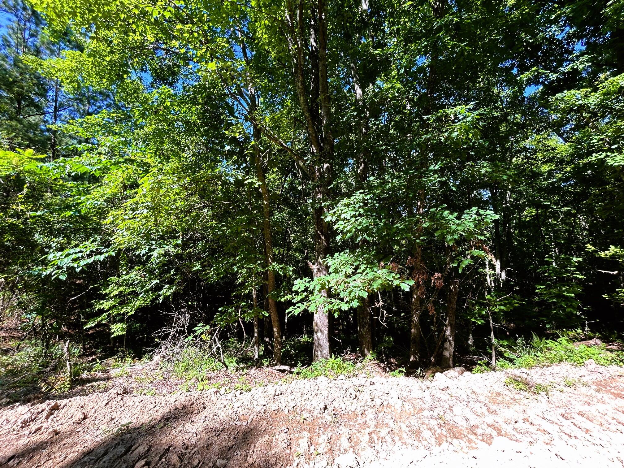 15-c-1a Charles Road Decatur, TN 37322 - Photo 11 of 13 c1a 4