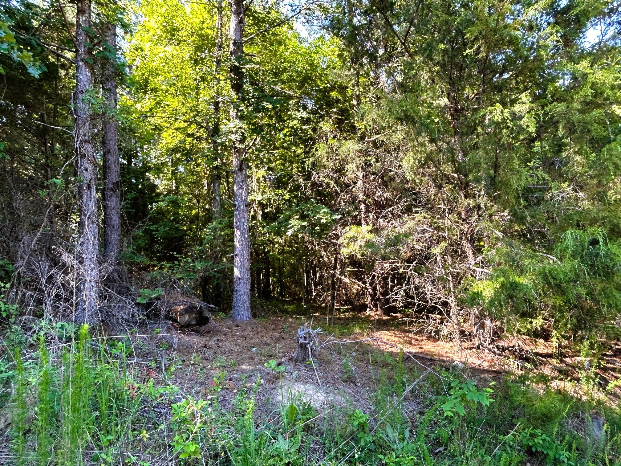 15-c-1a Charles Road Decatur, TN 37322 - Photo 6 of 13 c1a 9
