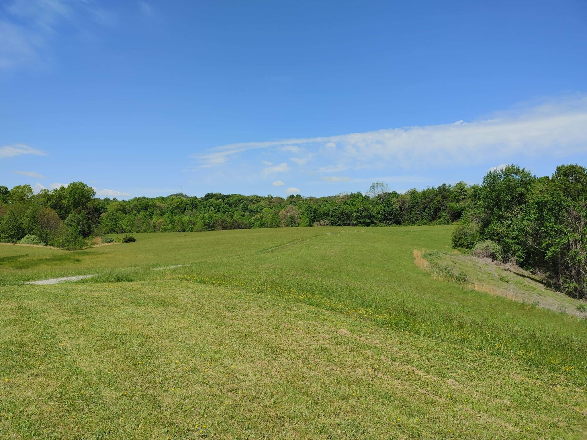 0 Lloyd Hollow Road, Unit TRACT #6 Corbin, KY 40701 - Photo 4 of 6 5CB2885B-A241-4B00-BB43-6E686AB17A4C