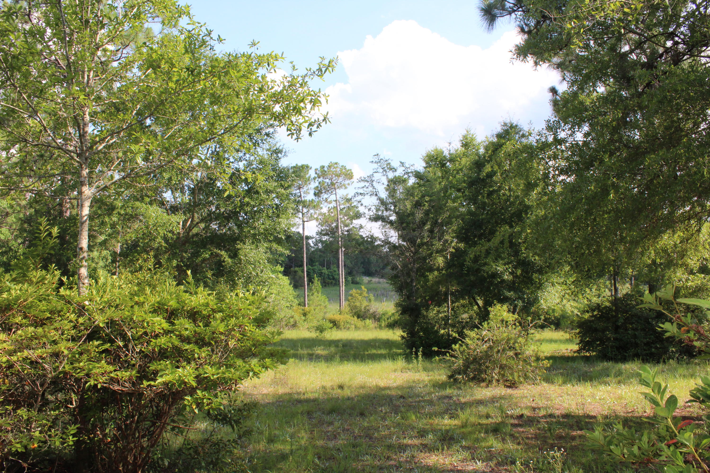 3239 Auburn Road Crestview, FL 32539 - Photo 34 of 57 3239 Auburn Road Crestview FL 32539 (4)
