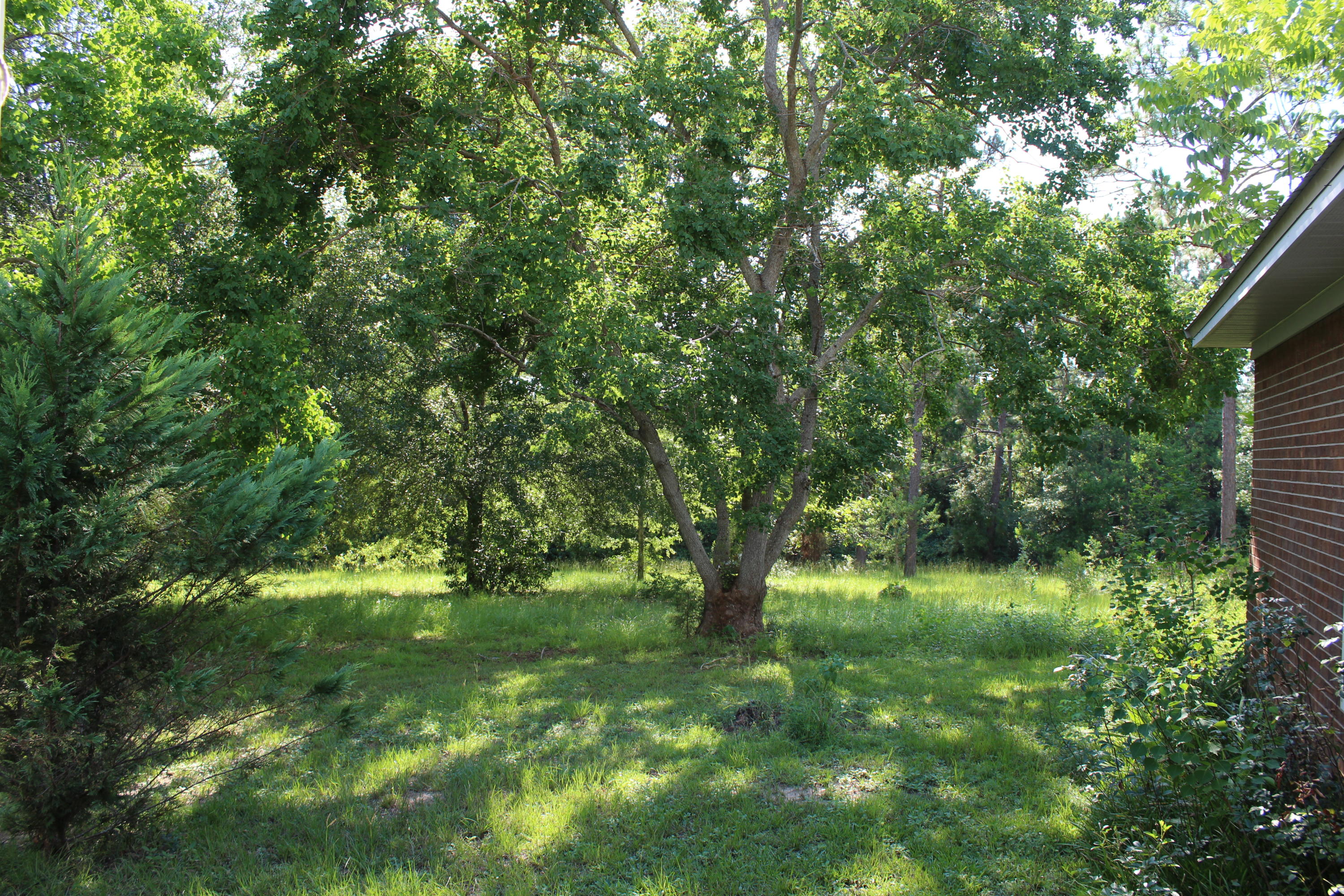 3239 Auburn Road Crestview, FL 32539 - Photo 39 of 57 3239 Auburn Road Crestview FL 32539 (12)