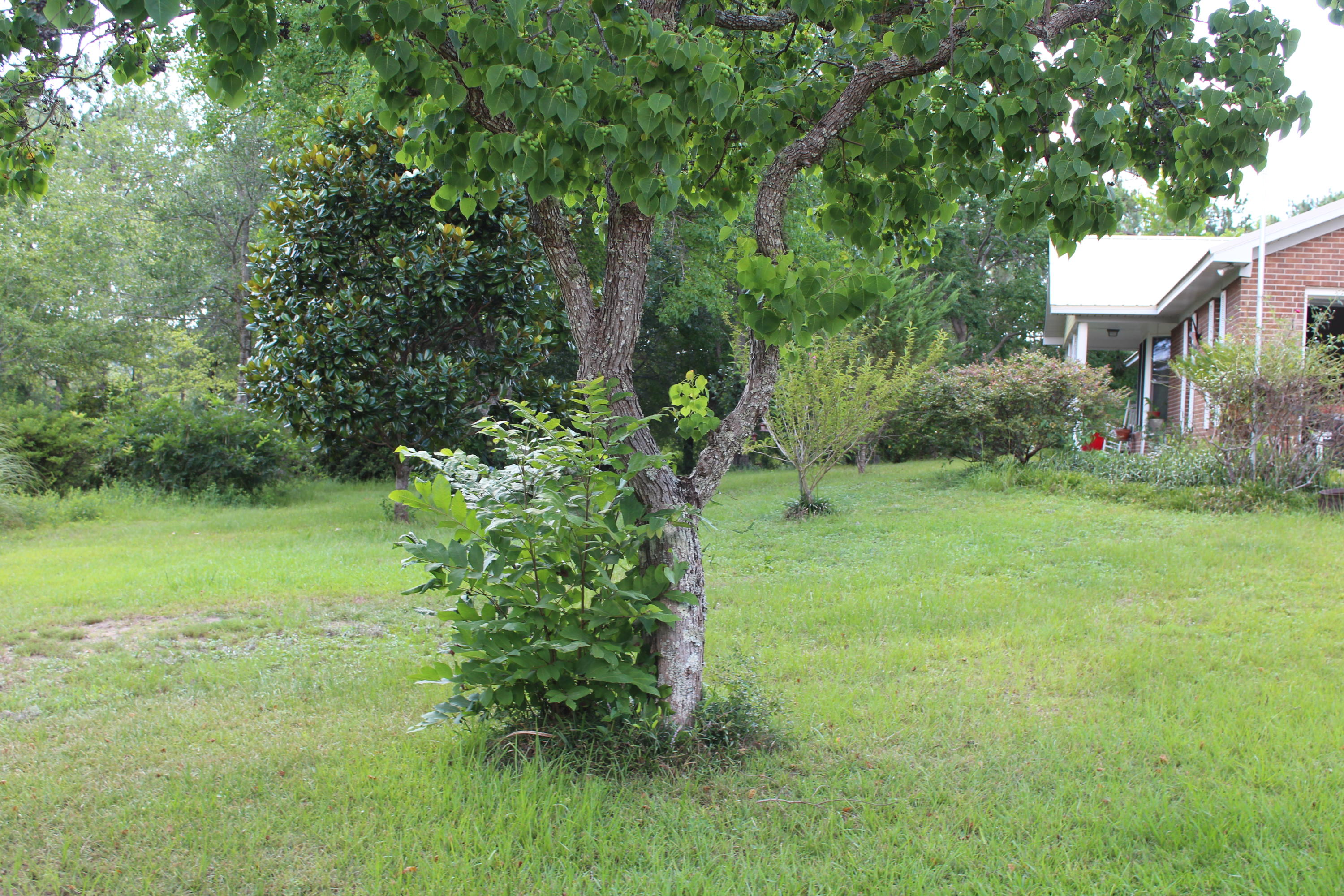 3239 Auburn Road Crestview, FL 32539 - Photo 45 of 57 3239 Auburn Road Crestview FL 32539 (20)
