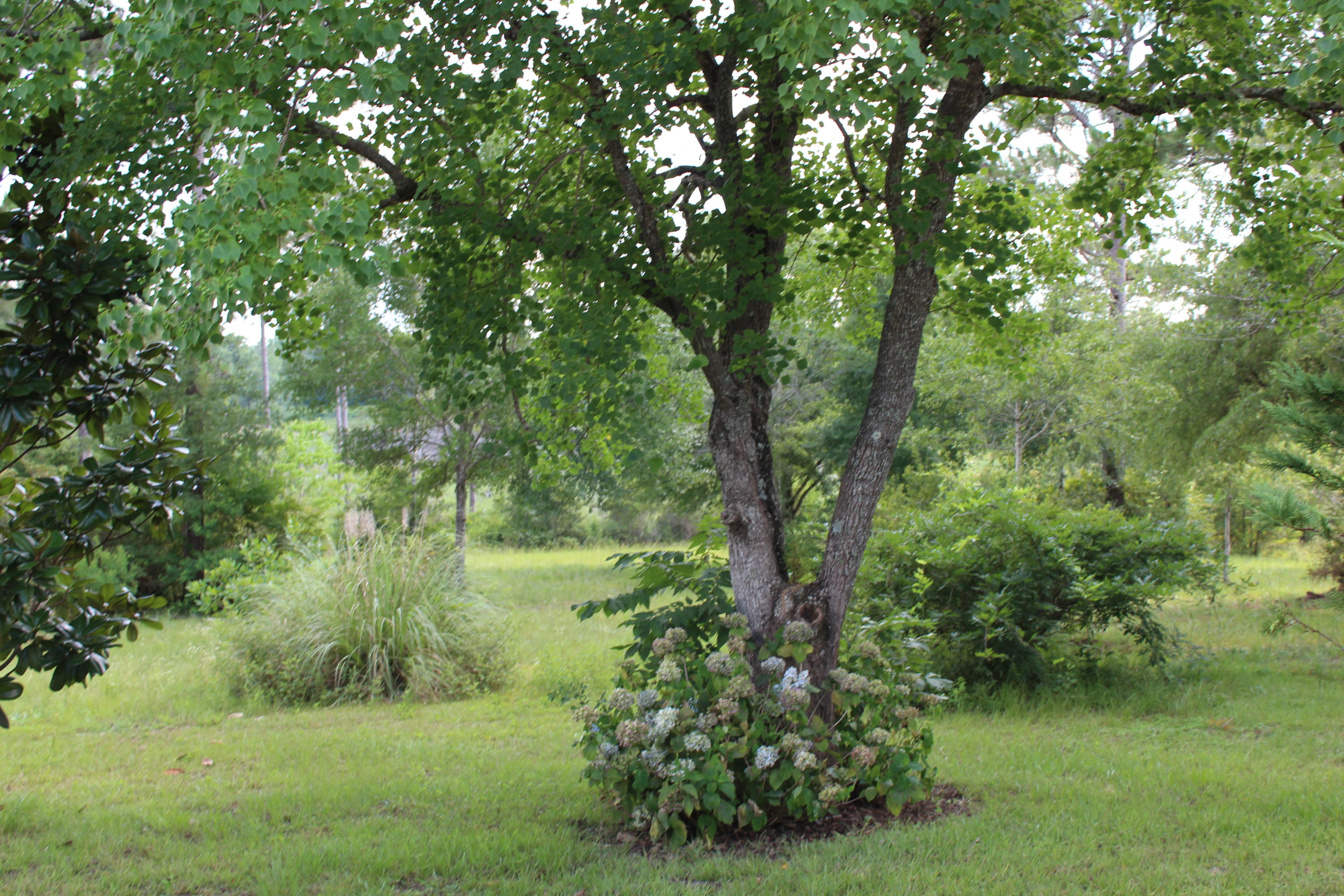 3239 Auburn Road Crestview, FL 32539 - Photo 49 of 57 3239 Auburn Road Crestview FL 32539 (24)