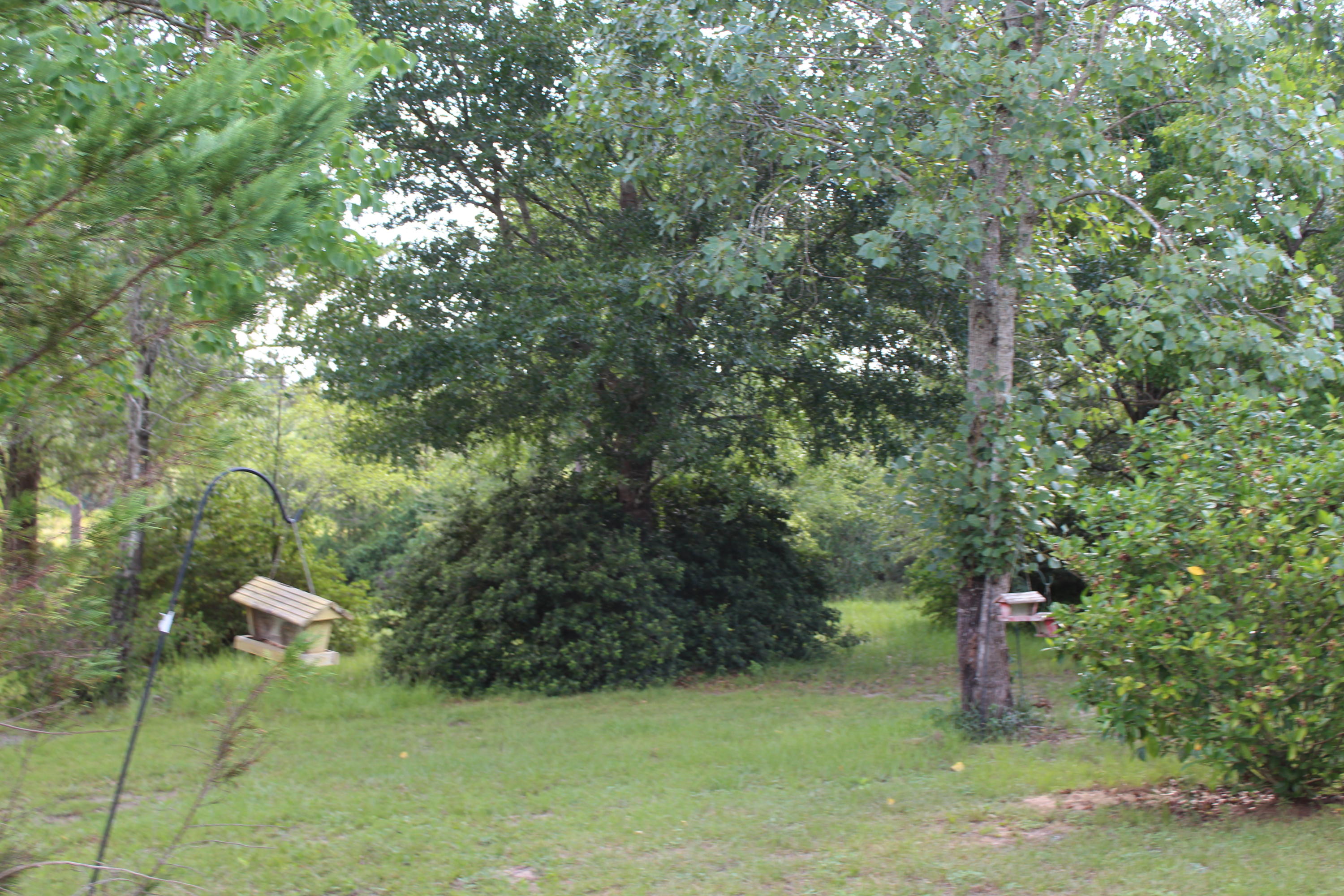 3239 Auburn Road Crestview, FL 32539 - Photo 50 of 57 3239 Auburn Road Crestview FL 32539 (25)