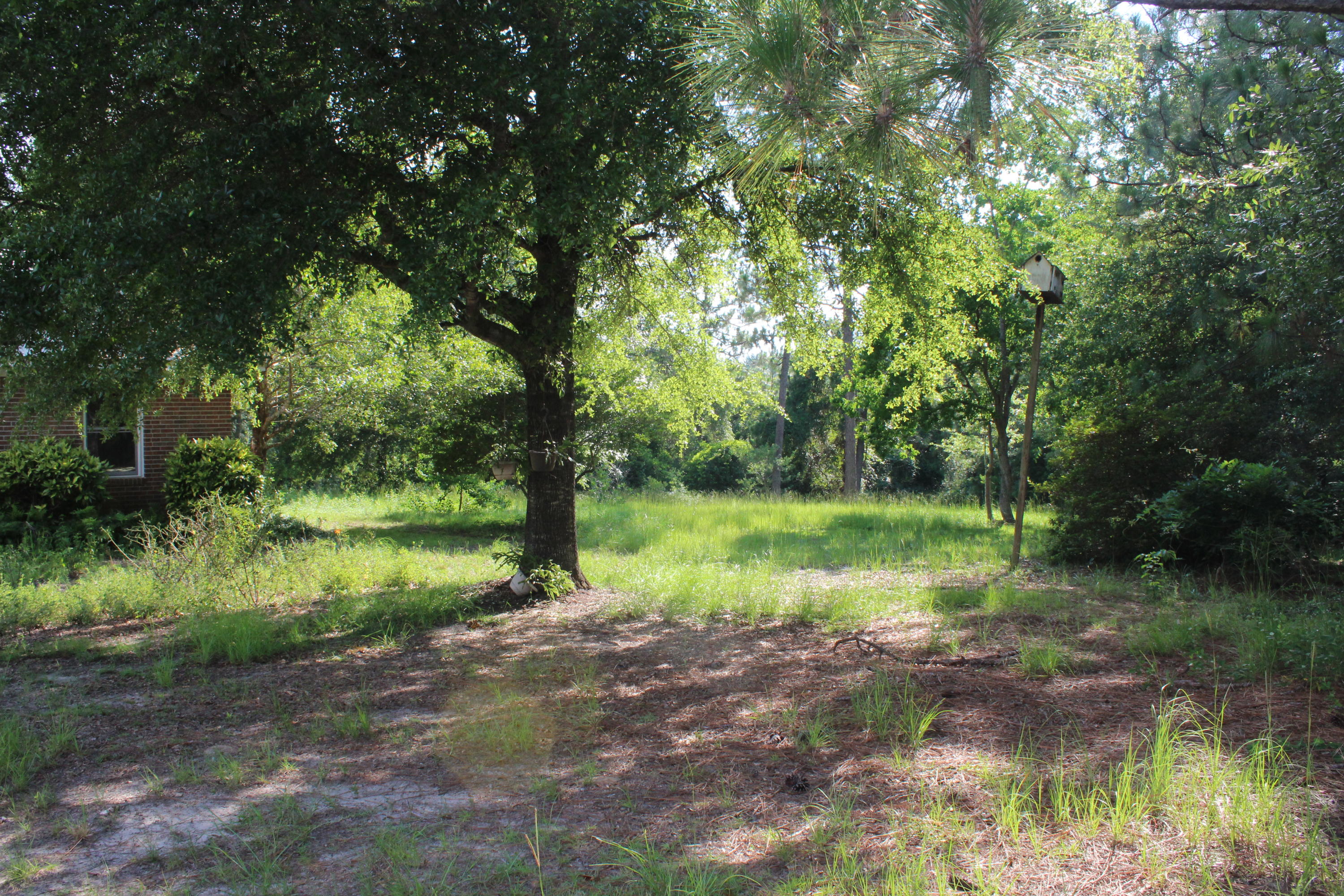 3239 Auburn Road Crestview, FL 32539 - Photo 53 of 57 3239 Auburn Road Crestview FL 32539 (57)