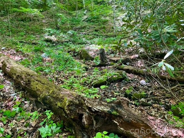 0 Soco Road Maggie Valley, NC 28751 - Photo 11 of 26