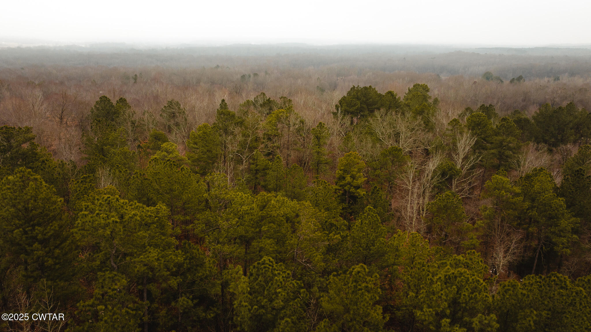 1421 Copper Spring Road Springville, TN 38256 - Photo 78 of 79 DJI_20250204085347_0016_D