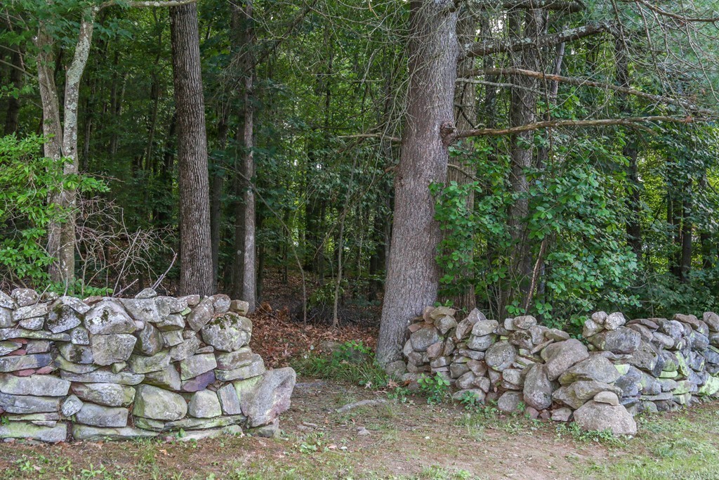 457 Dipping Hole Road Wilbraham, MA 01095 - Photo 26 of 28 Gallery Image 26