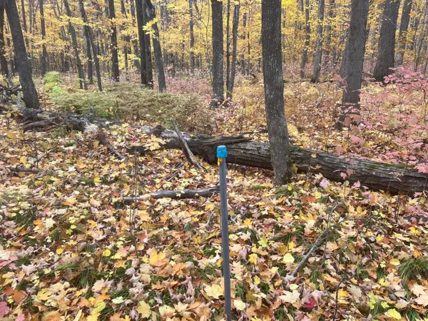 $49,900 | 154-xx Durphee Lane, Hayward, WI 54843