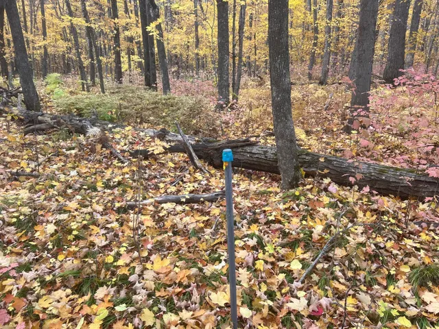 $49,900 | 154-xx Durphee Lane, Hayward, WI 54843