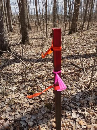 $49,900 | 154-xx Durphee Lane, Hayward, WI 54843