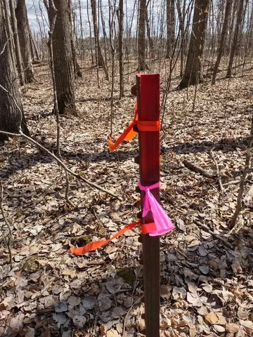 $49,900 | 154-xx Durphee Lane, Hayward, WI 54843