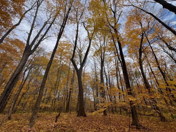 $49,900 | 154-xx Durphee Lane, Hayward, WI 54843