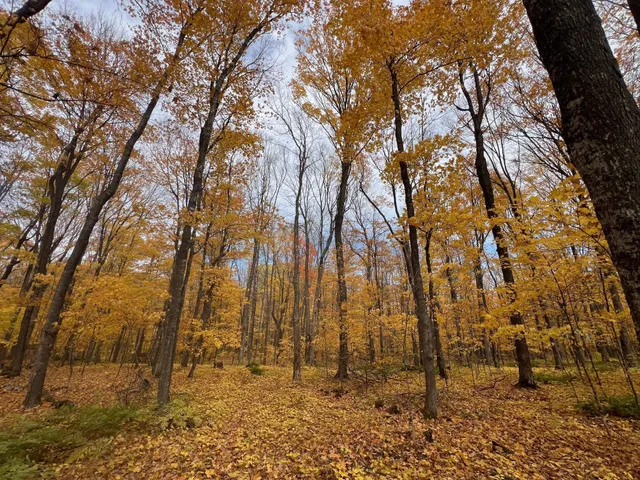 $49,900 | 154-xx Durphee Lane, Hayward, WI 54843