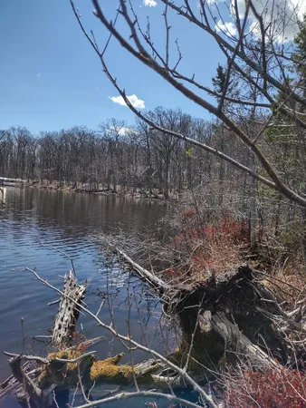 $49,900 | 154-xx Durphee Lane, Hayward, WI 54843