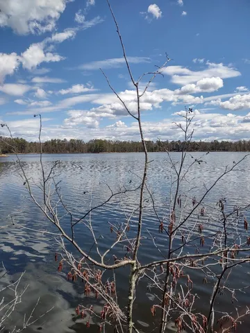 $49,900 | 154-xx Durphee Lane, Hayward, WI 54843