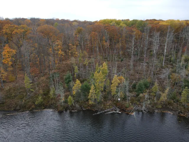 $49,900 | 154-xx Durphee Lane, Hayward, WI 54843